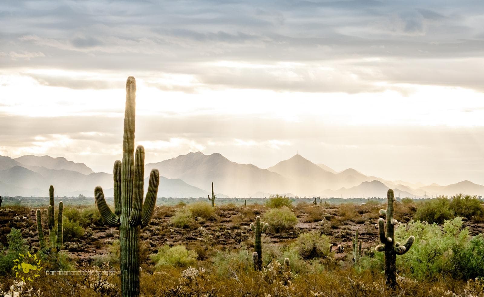 Rent ATVs and Dune Buggies at SunBuggy Phoenix
