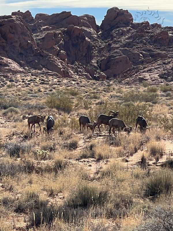 Las Vegas adventure photo