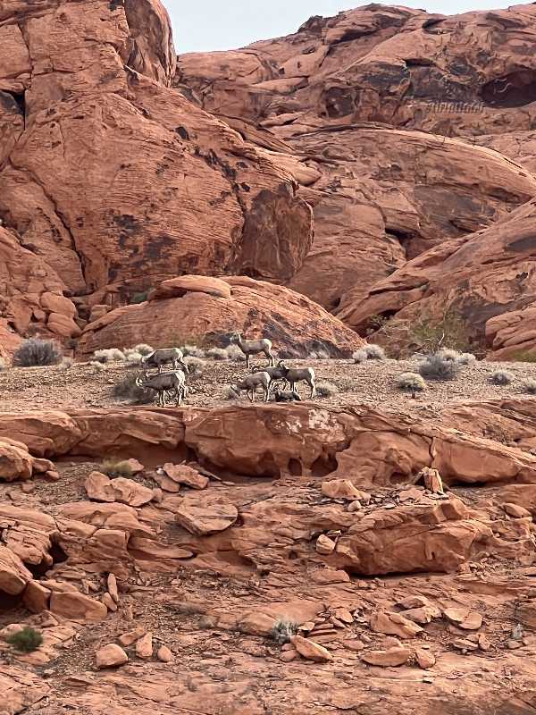 Las Vegas adventure photo