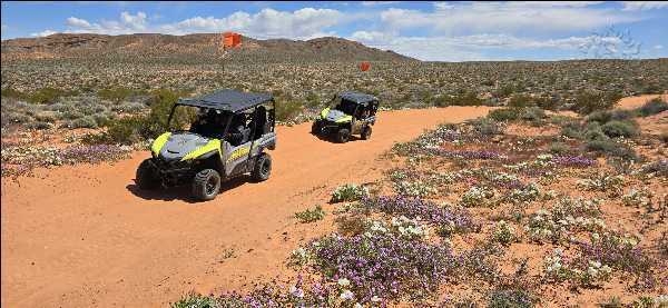 Las Vegas adventure photo