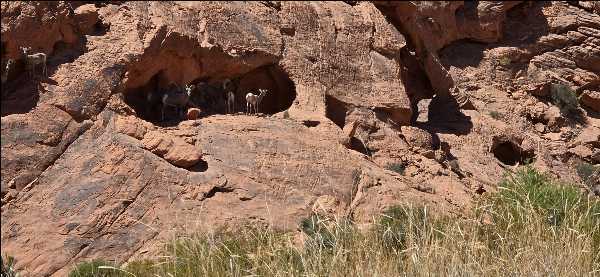 Las Vegas adventure photo