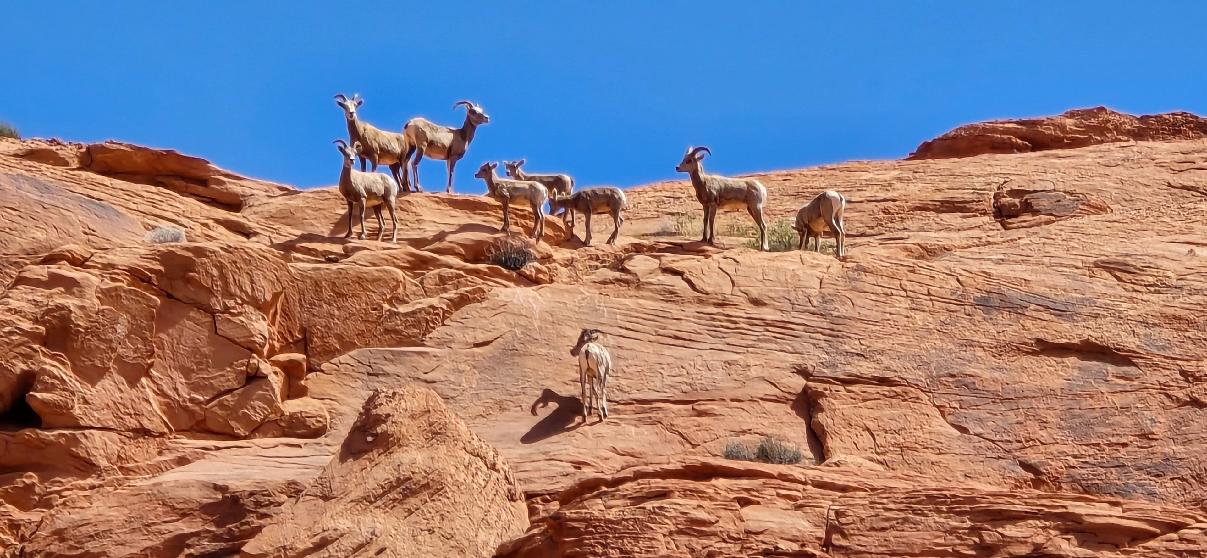 Las Vegas adventure photo