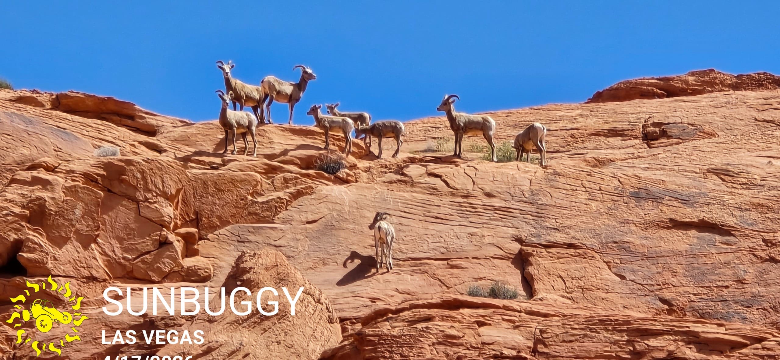 Las Vegas adventure photo