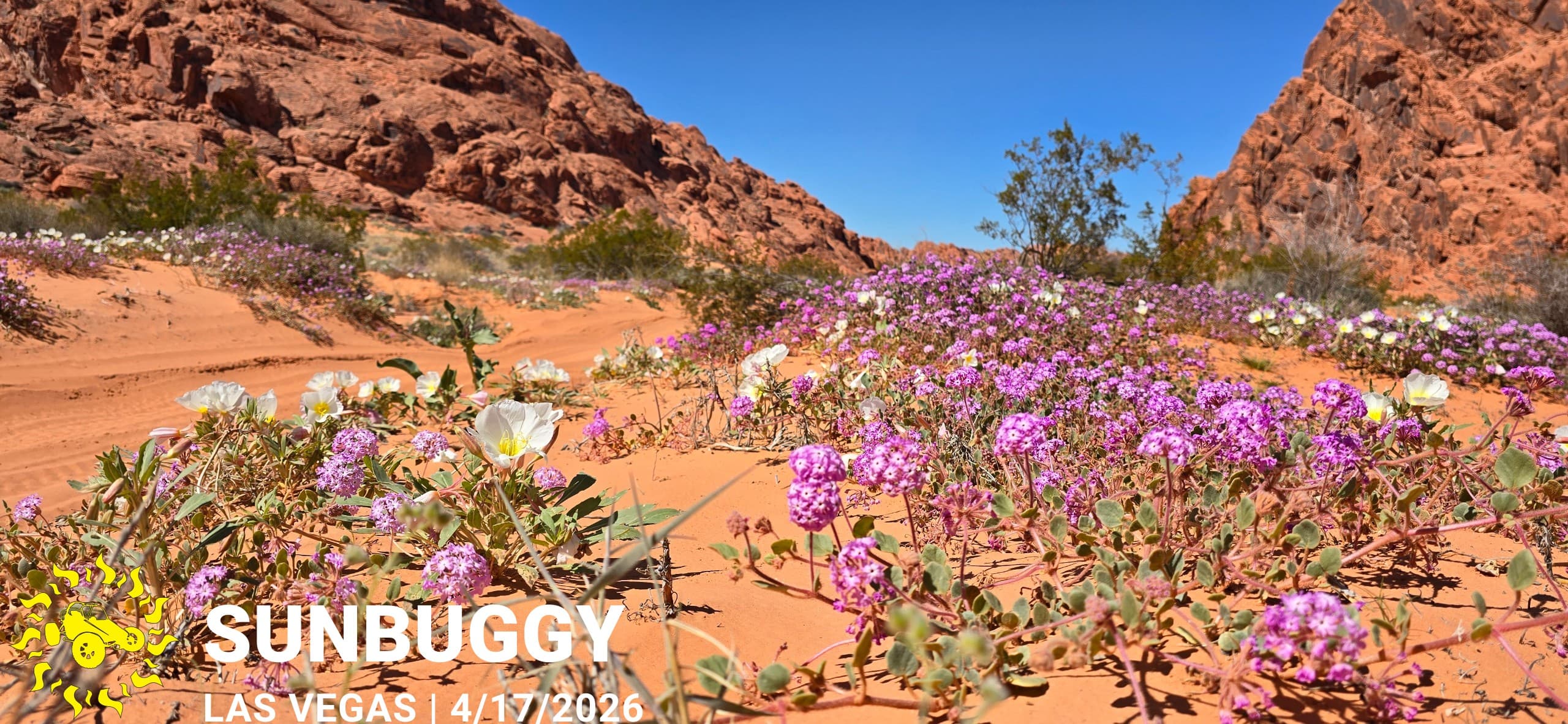 Las Vegas adventure photo