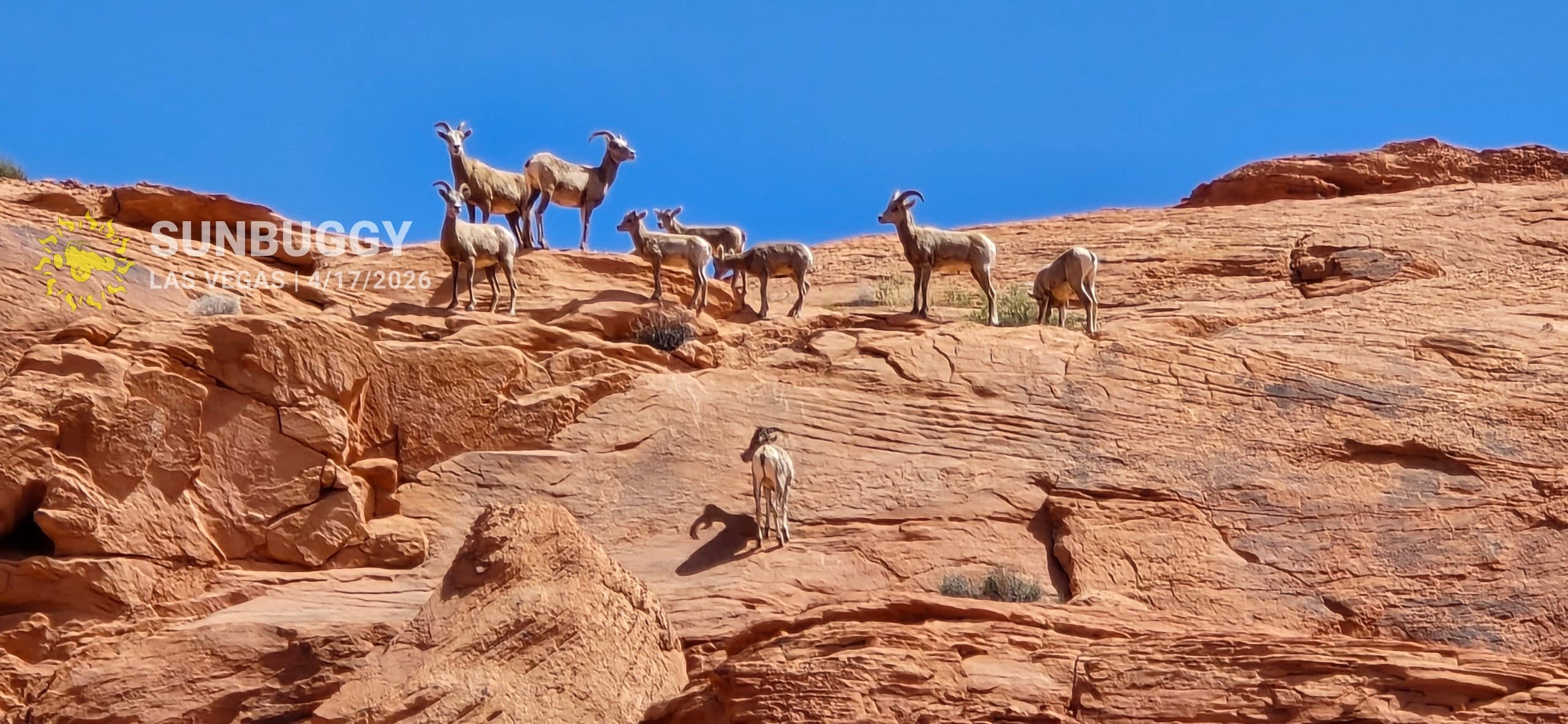 Las Vegas adventure photo